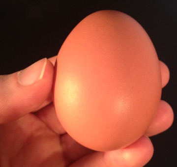 Large NestFresh pastured egg
