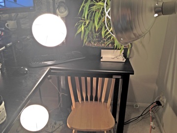 Brooder lamps surrounding a desk workspace