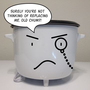 My old rice cooker concerned for his welfare.