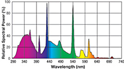 Spectrum graph