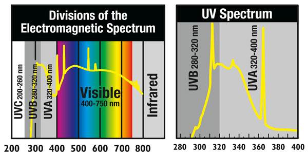 Spectrum graph