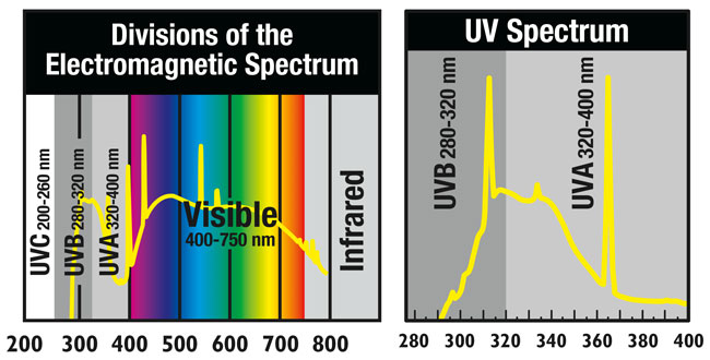 Spectrum graph